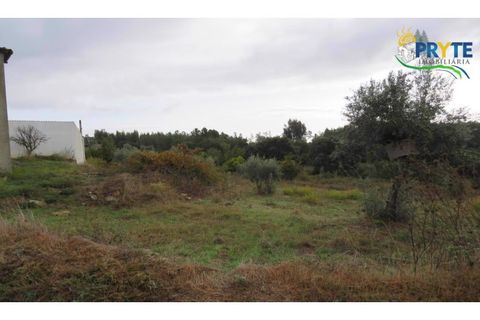 Ruinere i Serta, Castelo Branco, Serta - € 35.000 | Ref: AS37 - foto 13