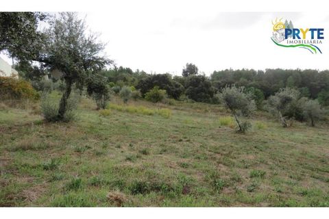 Ruinere i Serta, Castelo Branco, Serta - € 35.000 | Ref: AS37 - foto 14