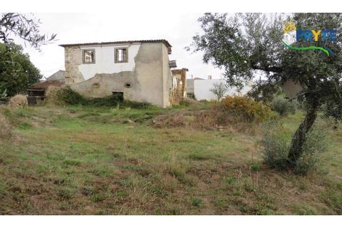 Ruinere i Serta, Castelo Branco, Serta - € 35.000 | Ref: AS37 - foto 18