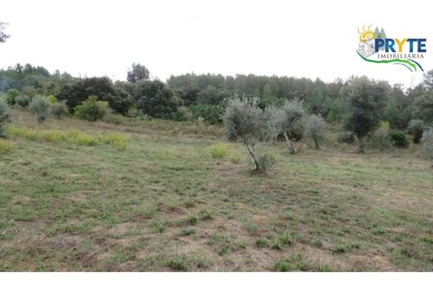 Ruinere i Serta, Castelo Branco, Serta - € 35.000 | Ref: AS37 - foto 19