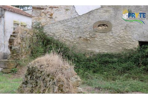 Ruinere i Serta, Castelo Branco, Serta - € 35.000 | Ref: AS37 - foto 20