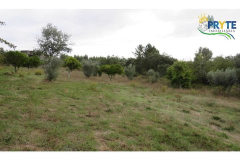 Ruinere i Serta, Castelo Branco, Serta - € 35.000 | Ref: AS37 - foto 21