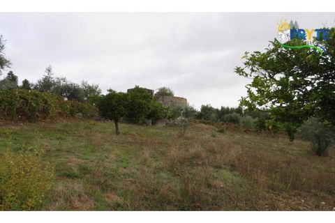 Ruinere i Serta, Castelo Branco, Serta - € 35.000 | Ref: AS37 - foto 22