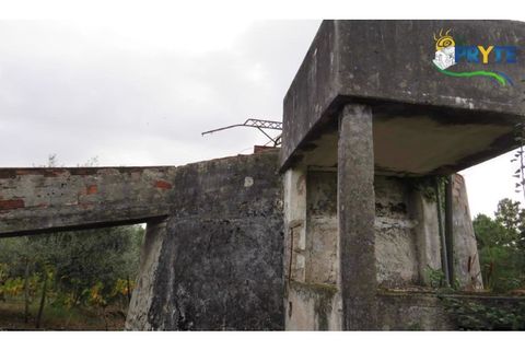 Ruinere i Serta, Castelo Branco, Serta - € 35.000 | Ref: AS37 - foto 24