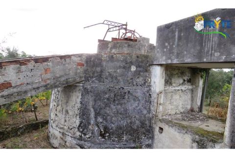 Ruinere i Serta, Castelo Branco, Serta - € 35.000 | Ref: AS37 - foto 27