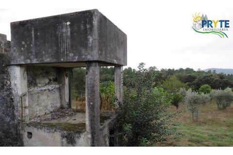 Ruinere i Serta, Castelo Branco, Serta - € 35.000 | Ref: AS37 - foto 28
