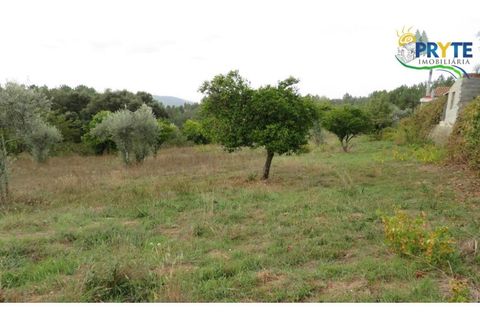 Ruinere i Serta, Castelo Branco, Serta - € 35.000 | Ref: AS37 - foto 29