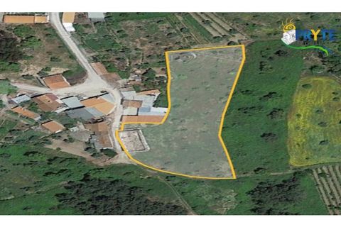 Ruinere i Serta, Castelo Branco, Serta - € 35.000 | Ref: AS37 - foto 31