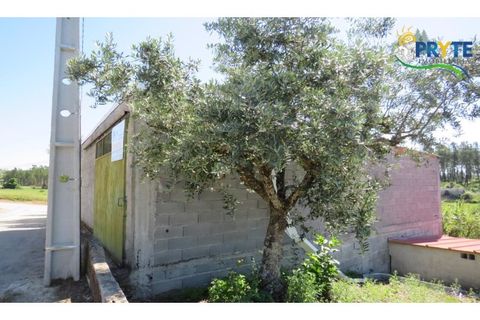 Helårsgrund i Serta, Castelo Branco, Serta - € 44.500 | Ref: MG38 - foto 2