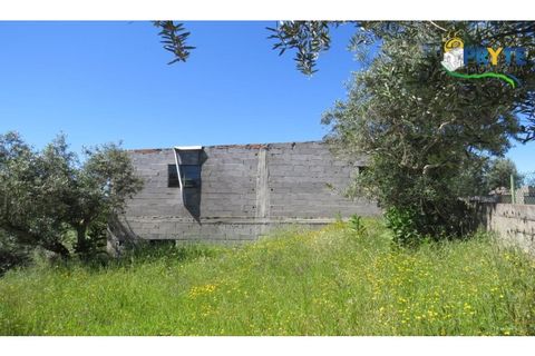 Helårsgrund i Serta, Castelo Branco, Serta - € 44.500 | Ref: MG38 - foto 5