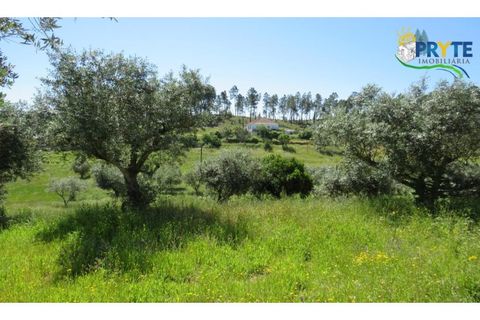 Helårsgrund i Serta, Castelo Branco, Serta - € 44.500 | Ref: MG38 - foto 6