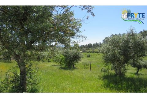 Helårsgrund i Serta, Castelo Branco, Serta - € 44.500 | Ref: MG38 - foto 7