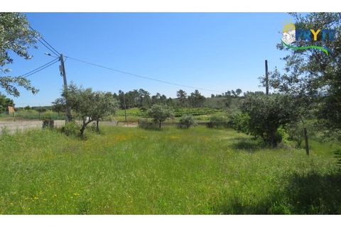 Helårsgrund i Serta, Castelo Branco, Serta - € 44.500 | Ref: MG38 - foto 9