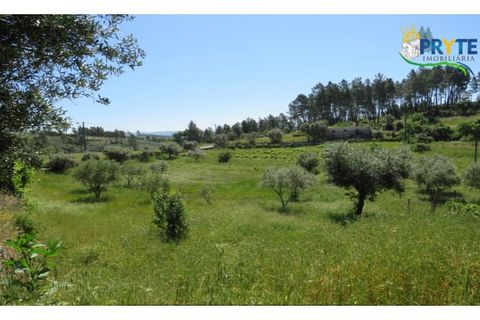 Helårsgrund i Serta, Castelo Branco, Serta - € 44.500 | Ref: MG38 - foto 10