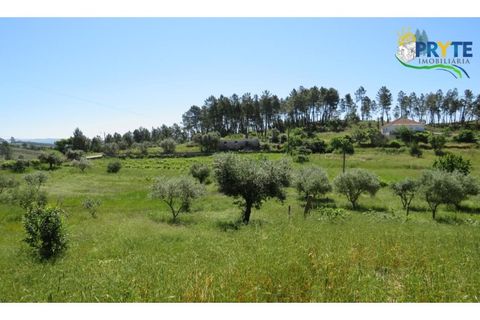 Helårsgrund i Serta, Castelo Branco, Serta - € 44.500 | Ref: MG38 - foto 11