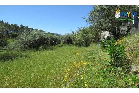 Helårsgrund i Serta, Castelo Branco, Serta - € 44.500 | Ref: MG38 - foto 12