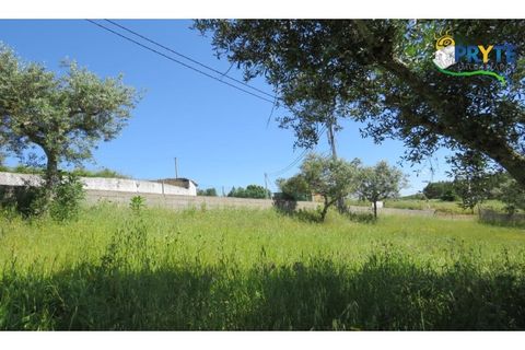 Helårsgrund i Serta, Castelo Branco, Serta - € 44.500 | Ref: MG38 - foto 14
