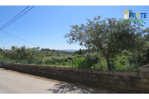 Helårsgrund i Serta, Castelo Branco, Serta - € 44.500 | Ref: MG38 - foto 15