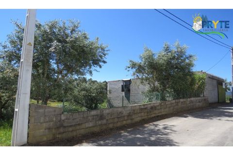 Helårsgrund i Serta, Castelo Branco, Serta - € 44.500 | Ref: MG38 - foto 16