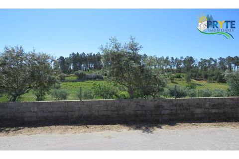 Helårsgrund i Serta, Castelo Branco, Serta - € 44.500 | Ref: MG38 - foto 17