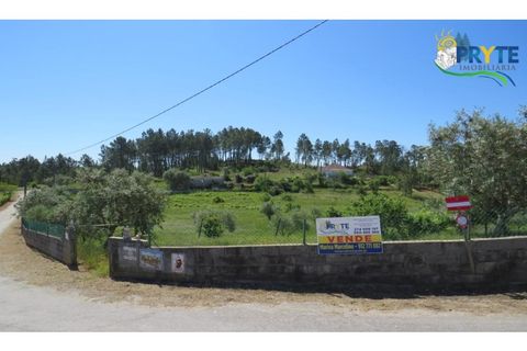 Helårsgrund i Serta, Castelo Branco, Serta - € 44.500 | Ref: MG38 - foto 18