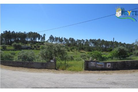 Helårsgrund i Serta, Castelo Branco, Serta - € 44.500 | Ref: MG38 - foto 19