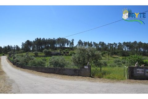 Helårsgrund i Serta, Castelo Branco, Serta - € 44.500 | Ref: MG38 - foto 20