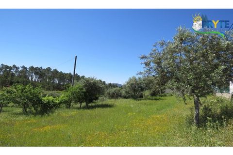 Helårsgrund i Serta, Castelo Branco, Serta - € 44.500 | Ref: MG38 - foto 22