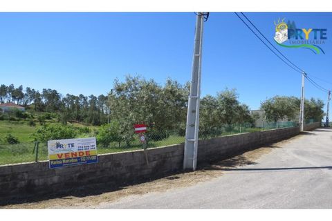 Helårsgrund i Serta, Castelo Branco, Serta - € 44.500 | Ref: MG38 - foto 23