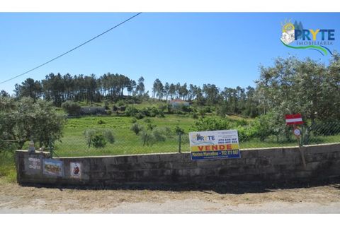 Helårsgrund i Serta, Castelo Branco, Serta - € 44.500 | Ref: MG38 - foto 24