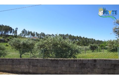 Helårsgrund i Serta, Castelo Branco, Serta - € 44.500 | Ref: MG38 - foto 25