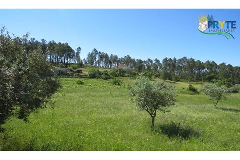 Helårsgrund i Serta, Castelo Branco, Serta - € 44.500 | Ref: MG38 - foto 26
