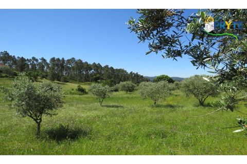 Helårsgrund i Serta, Castelo Branco, Serta - € 44.500 | Ref: MG38 - foto 27