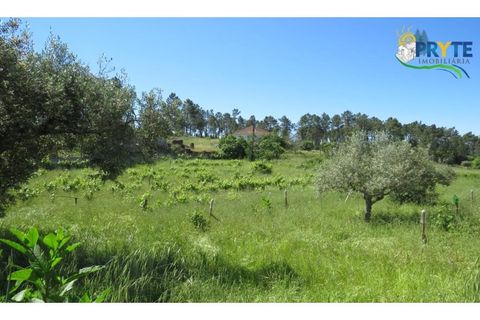 Helårsgrund i Serta, Castelo Branco, Serta - € 44.500 | Ref: MG38 - foto 28