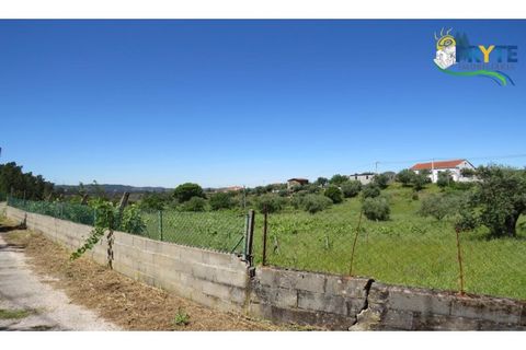 Helårsgrund i Serta, Castelo Branco, Serta - € 44.500 | Ref: MG38 - foto 29