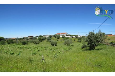 Helårsgrund i Serta, Castelo Branco, Serta - € 44.500 | Ref: MG38 - foto 30