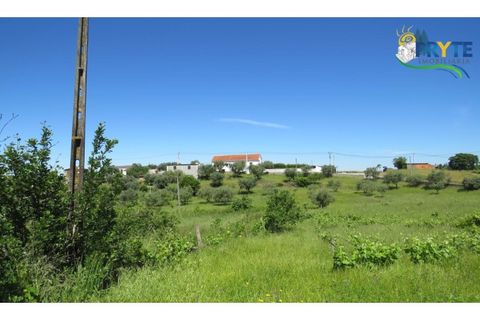 Helårsgrund i Serta, Castelo Branco, Serta - € 44.500 | Ref: MG38 - foto 32