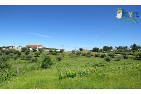 Helårsgrund i Serta, Castelo Branco, Serta - € 44.500 | Ref: MG38 - foto 33