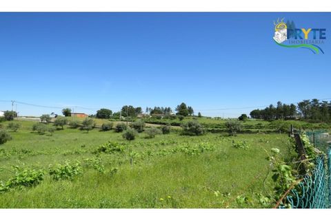 Helårsgrund i Serta, Castelo Branco, Serta - € 44.500 | Ref: MG38 - foto 34