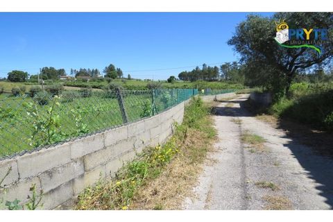 Helårsgrund i Serta, Castelo Branco, Serta - € 44.500 | Ref: MG38 - foto 35
