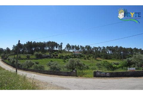 Helårsgrund i Serta, Castelo Branco, Serta - € 44.500 | Ref: MG38 - foto 40