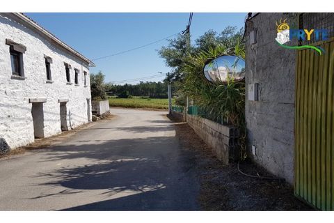 Helårsgrund i Serta, Castelo Branco, Serta - € 44.500 | Ref: MG38 - foto 44