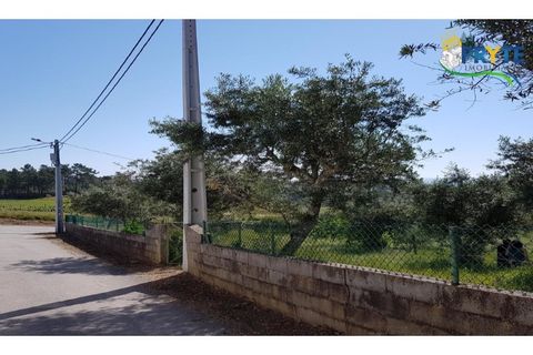 Helårsgrund i Serta, Castelo Branco, Serta - € 44.500 | Ref: MG38 - foto 45
