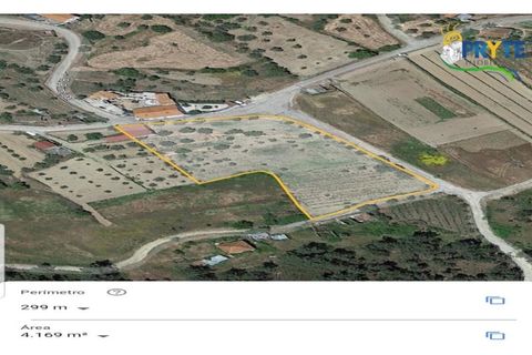 Helårsgrund i Serta, Castelo Branco, Serta - € 44.500 | Ref: MG38 - foto 47