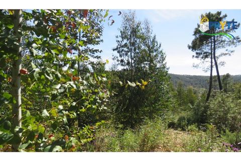 Helårsgrund i Serta, Castelo Branco, Serta - € 39.000 | Ref: AA112 - foto 6