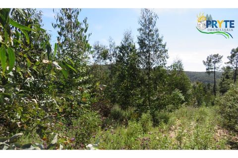 Helårsgrund i Serta, Castelo Branco, Serta - € 39.000 | Ref: AA112 - foto 7