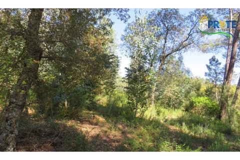 Helårsgrund i Serta, Castelo Branco, Serta - € 39.000 | Ref: AA112 - foto 18