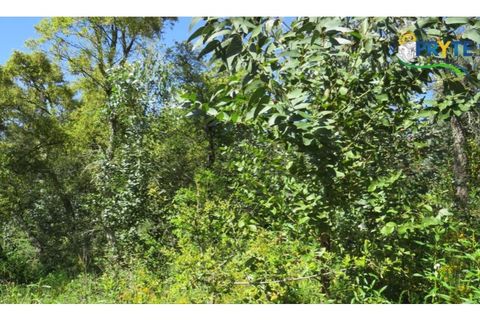 Helårsgrund i Serta, Castelo Branco, Serta - € 39.000 | Ref: AA112 - foto 23