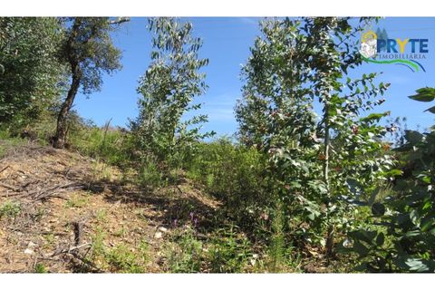 Helårsgrund i Serta, Castelo Branco, Serta - € 39.000 | Ref: AA112 - foto 28