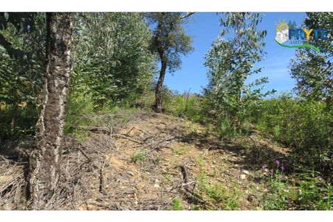 Helårsgrund i Serta, Castelo Branco, Serta - € 39.000 | Ref: AA112 - foto 29
